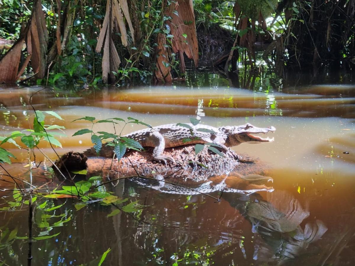 Micheck House * Tortuguero